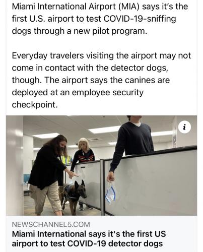 19:05:36 GMT-0400 (EDT).image