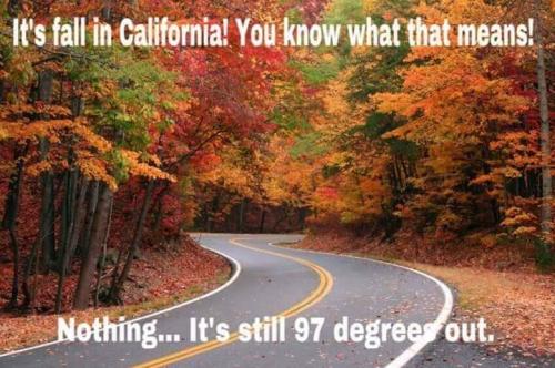 FB_IMG_1632890081298