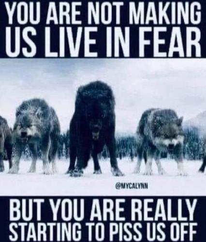 20:41:15 GMT-0400 (EDT)