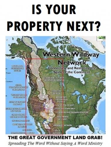 241087260_2952139011707098_1471635714787966275_n