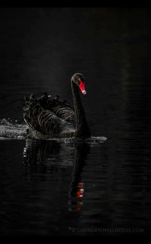 09:16:47 GMT-0500 (CDT)