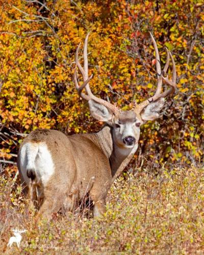 243070021_414984203326535_415592228608698221_n