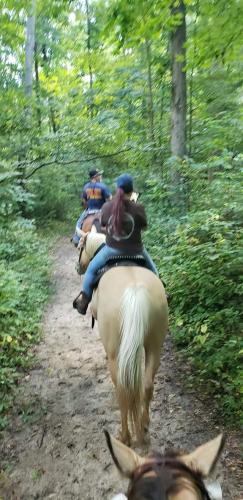 20:50:08 GMT-0400 (EDT)