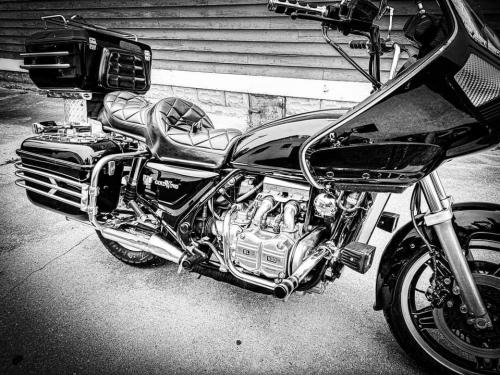 1980 Honda Holding GL1100 - My Baby!