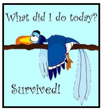 241836029_4797780640244697_1512071573389592172_n