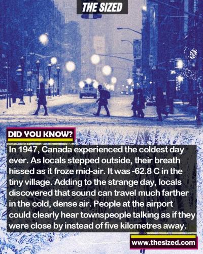 241345069_381915130041477_7533267368174078377_n