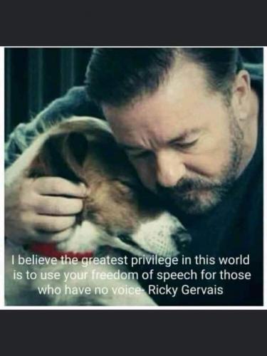 FB_IMG_1631076650560