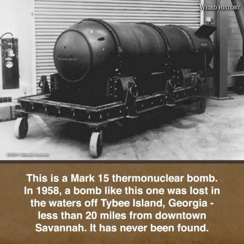 243114309_2330361717120190_6192404451833447453_n