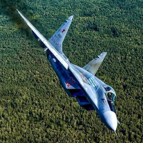 241329602_4191374044291480_6307425009440663985_n