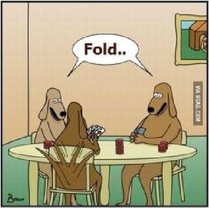 241244257_4270931723020672_85841577915039005_n