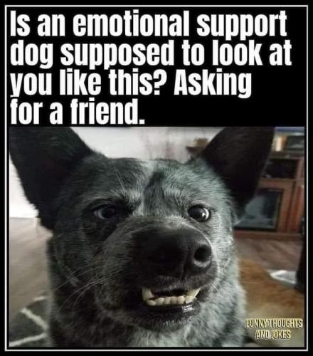 21:37:58 GMT-0500 (CDT).image