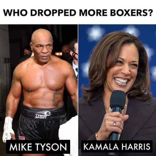 kamala harris155