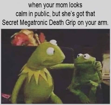 when you mom looks calm in public