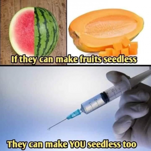 Seedless fruit
