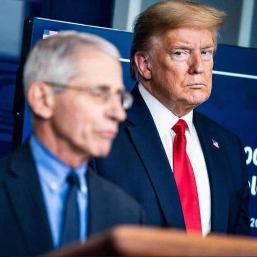 trump fauci look
