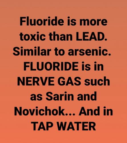 14:37:15 GMT-0500 (CDT)