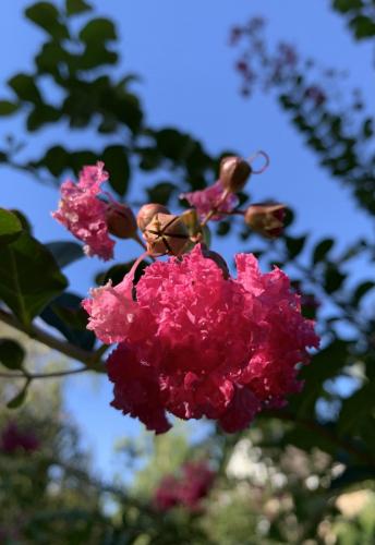 85D719C3-7869-43DF-98AD-C3D293F3E296