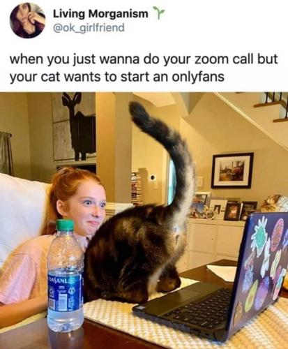 FB_IMG_1632101400222