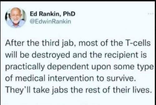 booster third jab tcells destroy immune dependent antibody @edwinrankin phd doctor
