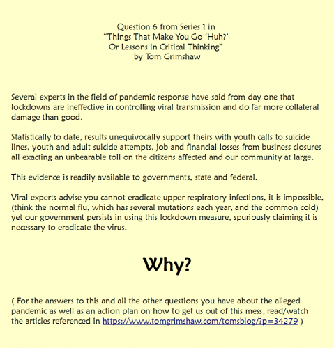 S1_Q6_Critical_Thinking