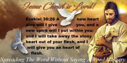 241070149_840401970177757_7722937627915132158_n