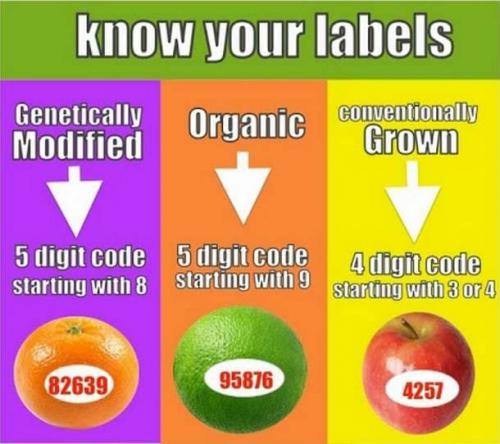 IMG_20210902_153834_365