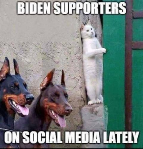 2021-09-07_20-25-59 pedojoe supporters