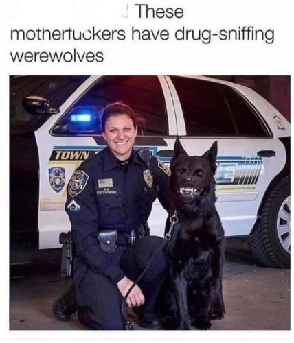 12:33:10 GMT-0500 (CDT).image