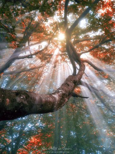 tumblr_p8hleswzKh1rd8524o1_540