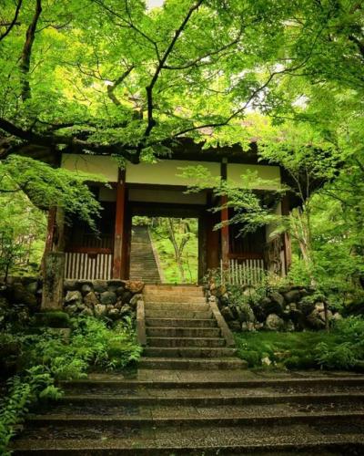 242325498_1135549606969969_2076486841330961875_n