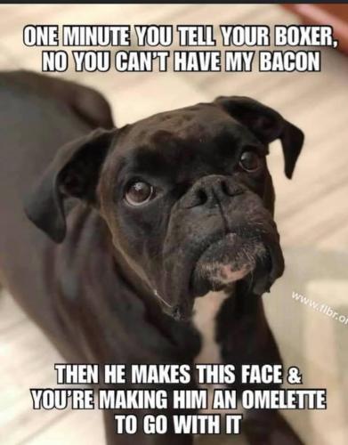 20:08:14 GMT-0500 (CDT).image