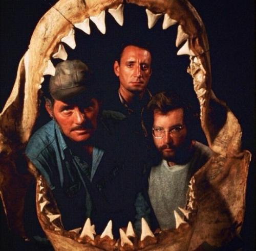 tumblr_5b8f21972967caa91fcddb10adbd6ac1_0a9b02c3_540