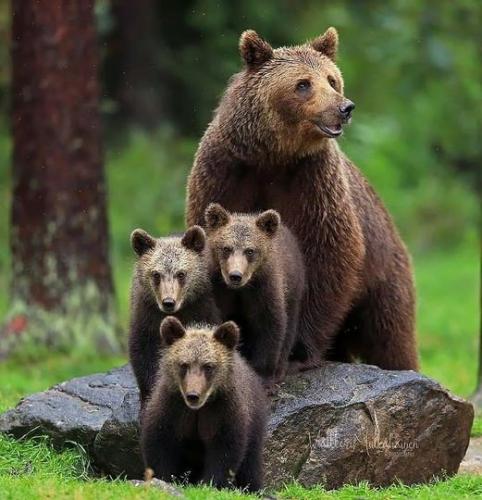 241384071_403954201108259_1824140986447249157_n