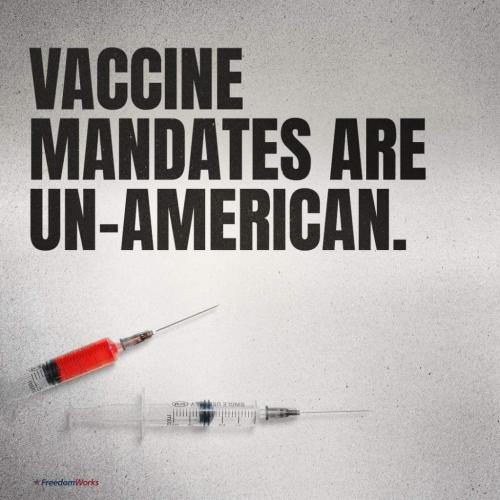 FB_IMG_1631266670610