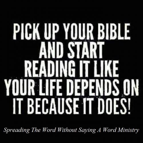 241515363_400124768140129_7169498172512833966_n