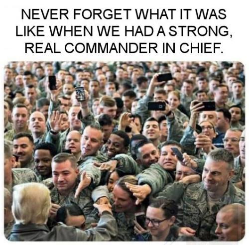 ztrump254