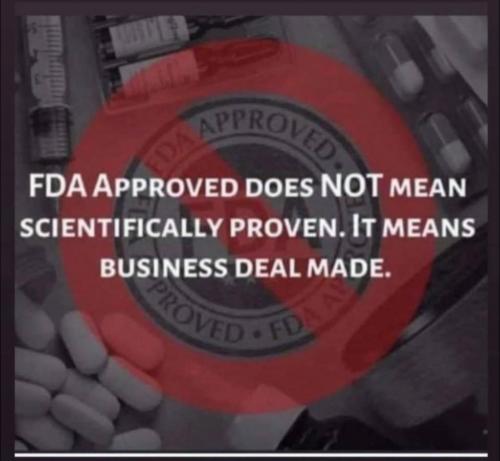 241289414_232082945541009_3457032893008272392_n