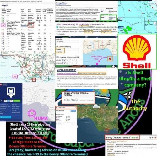 IMG_20210915_125436_319