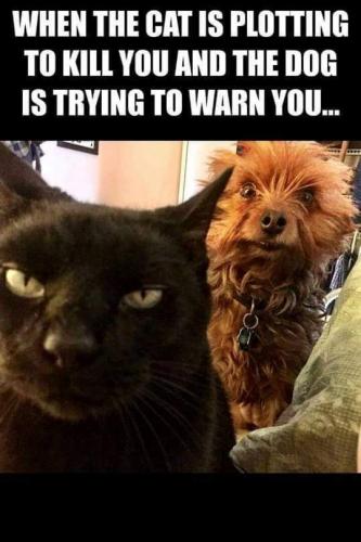 FB_IMG_1631457166287