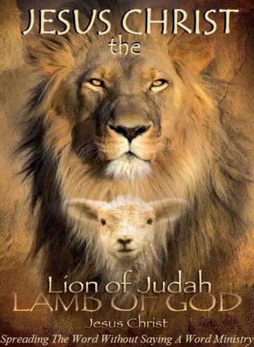 21369350_1521507574598035_4431442421298135038_n