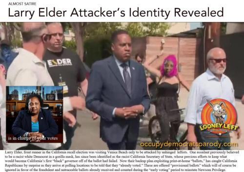 ALMOST SATIRE ODP MEME elder-california-egg-attack-woman-gorilla