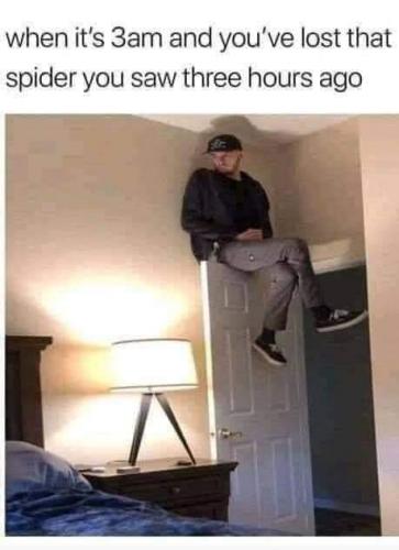 FB_IMG_1632020823843