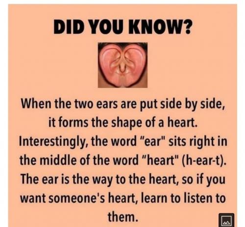 214011449_4415694478462248_7674558580118690419_n