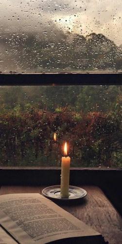 51cdeb2a471547f995c8b5eb7030c353