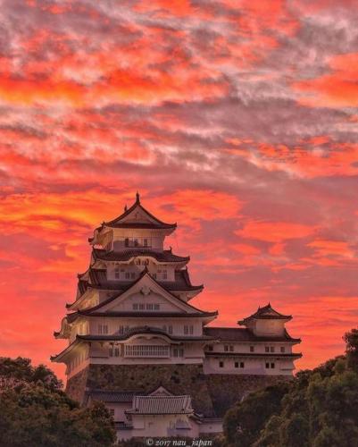 241982092_395966401899368_7669544546864148705_n