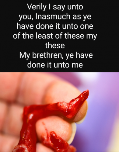 Screenshot_20210903-121432~2