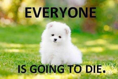 00:51:27 GMT-0500 (CDT)