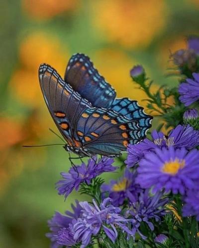 241641658_407312330772446_4054987418138726468_n