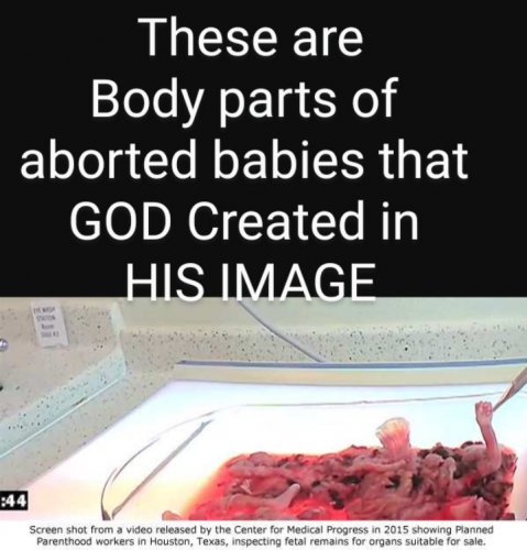 Screenshot_20210903-120214~2