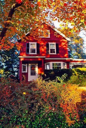 241360820_1989068774593328_387904370143997109_n